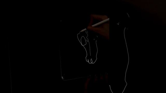 Лошадь одной линией🤍 horse one line #pendrawing #drawingprocess #easyart #trendart #onelineart смотреть онлайн
