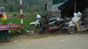 Ly Tieu Ca - Harvesting Wild Bananas Flowesting & Vegetables | Life of a 17 Year Old Single Mother