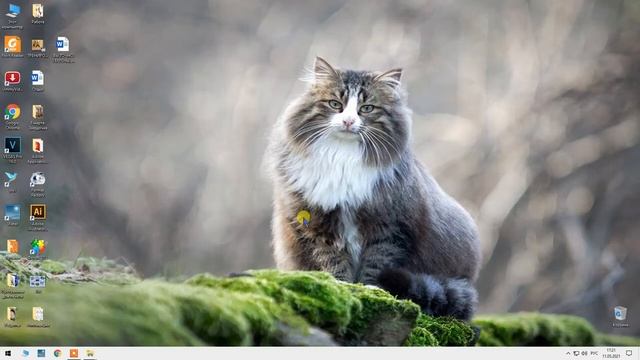 Горячие клавиши Windows 10 смотреть онлайн