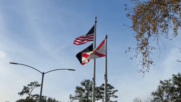 ? день ПЕРВЫЙ ЗИМА ? выехала из Jacksonville Florida USA в АРИЗОНУ 21.01.2024