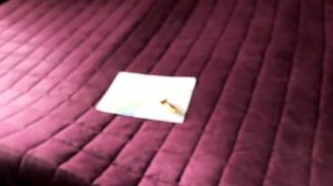 КАК ВЫЗВАТЬ ЕДИНОРОГА ЖЕЛАНИЙ И ПОЛУЧИТЬ ПОДАРОК