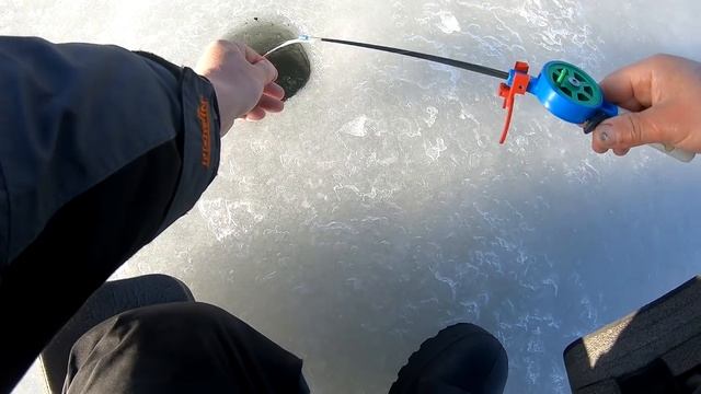 НАШЕЛ САЗАНА В КОРЯЖНИКЕ! рыбалка на сазана - карпа и крупного карася зимой. смотреть онлайн