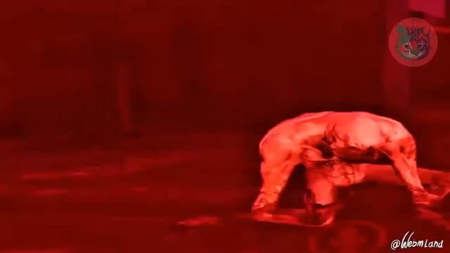 Монстр танцует под Воронины 10 часов смотреть онлайн