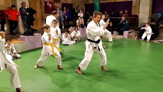 Ката Хейан Нидан. Семинар по каратэ - 6. смотреть онлайн