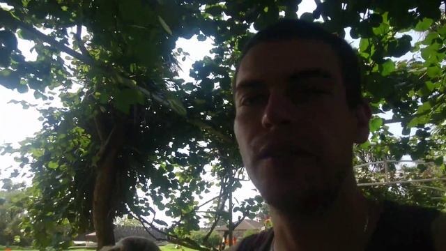 Гонио-Апсаросская крепость смотреть онлайн