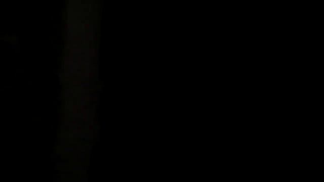 Воры в доме