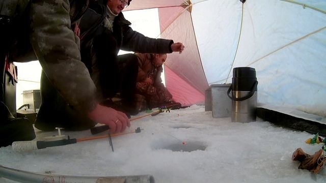 На Затоне Иртыша. РЭБ. Январь 2018 г. смотреть онлайн