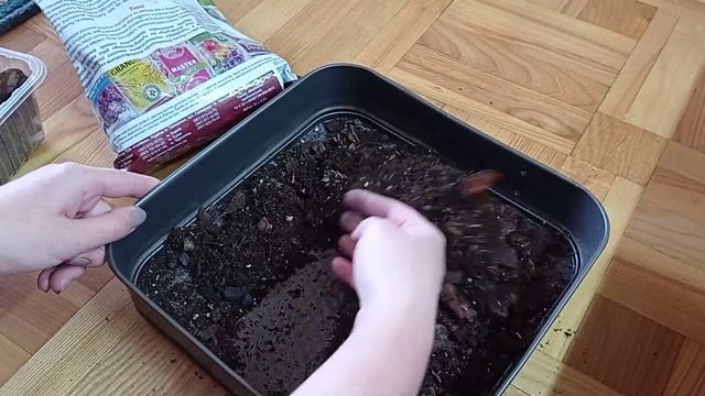 🌲🌲Обзор коры для орхидей Флорин 3л крупная фракция 🌲🌲какая она , смотрим вместе с вами 🤗 смотреть онлайн