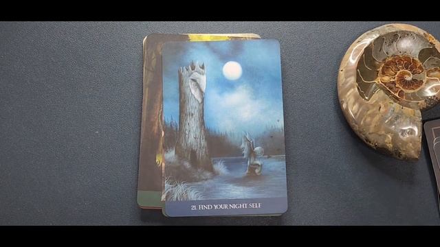 Into the Lonely Woods Oracle Deck - Full Flip Through and Mini Review смотреть онлайн
