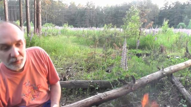 Здоровый Образ жизни Очищение огнем смотреть онлайн