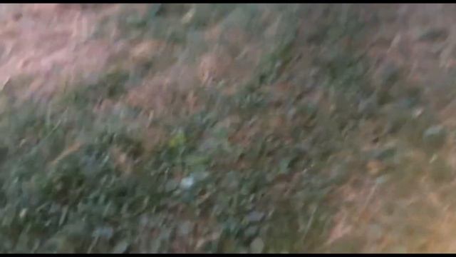 НЕВЫЛОЖЕННЫЙ РОЛИК. КАК МАТВЕЙ РАЗБИЛ ОКНО А Я ЧКТЬ НЕ УПАЛ С ВЕЛИКА? 16 АВГ. 2022 Г. смотреть онлайн