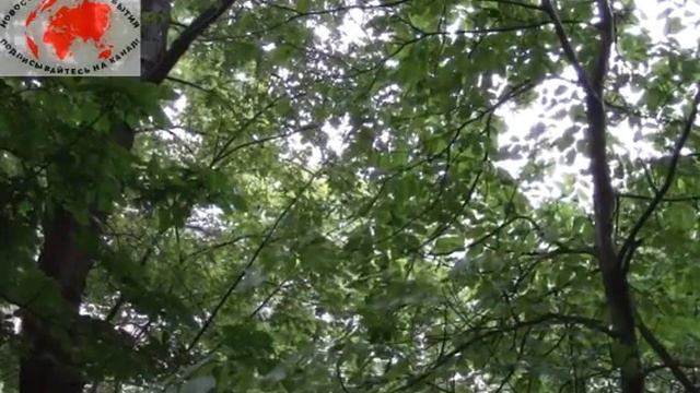 ДОНЕЦК! ШТУРМ в ч №3004! 26 06 14 Свежие новости смотреть онлайн
