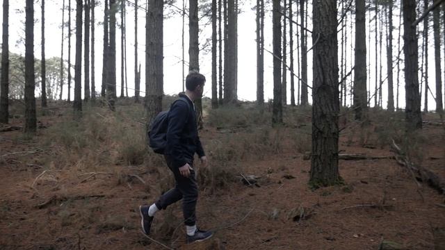 гриб вяселка смотреть онлайн