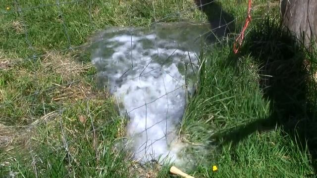 Permaculture Keyline Water Systems: Don Tipping @ Seven Seeds Farm смотреть онлайн