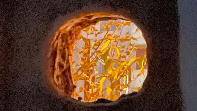 Hodolguur смотреть онлайн