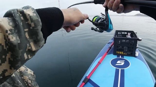 Ловля камбалы. Морская рыбалка с сапа. смотреть онлайн