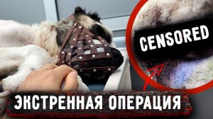 Вилли снова лег на стационар. Нукеру стало хуже, вторая операция через 2 дня. Пошли осложнения.