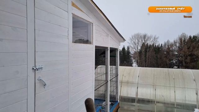 Стрим из вольера смотреть онлайн