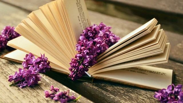 СПОКОЙНАЯ МУЗЫКА ДЛЯ РАБОТЫ  - СПОКОЙНАЯ МУЗЫКА ДЛЯ МАЛЫШЕЙ