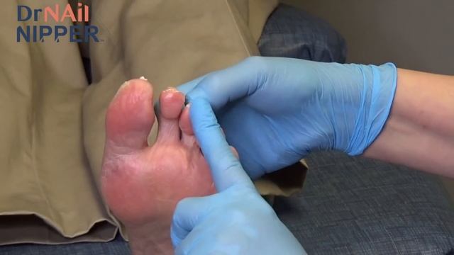 Two Gentlemen of Toerona. Do you know it? [Callus Tuesday] (2021) смотреть онлайн