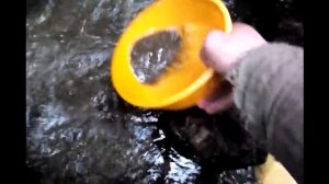 Поиск золота в горной реке