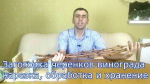 Заготовка черенков винограда, нарезка, обработка и хранение.