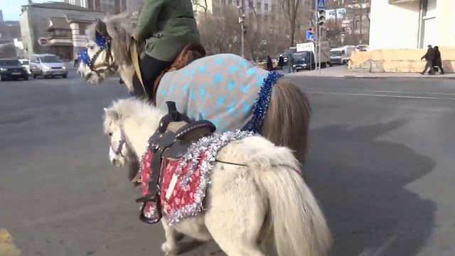 Про дятла . смотреть онлайн