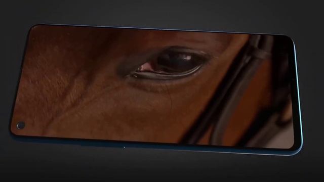 Nokia 6.3 [2020] Best smartphone for gaming and camera/Bangladesh /48 MP/price in bangladesh смотреть онлайн
