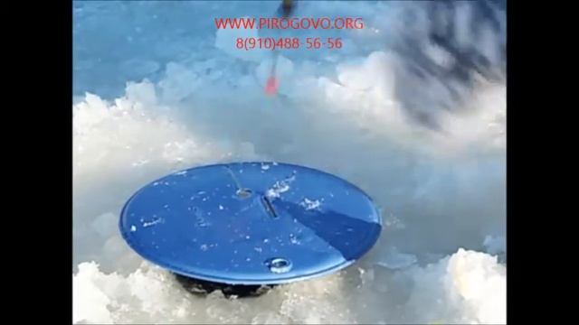 Платная рыбалка в Пирогово (КОРГАШИНО) смотреть онлайн