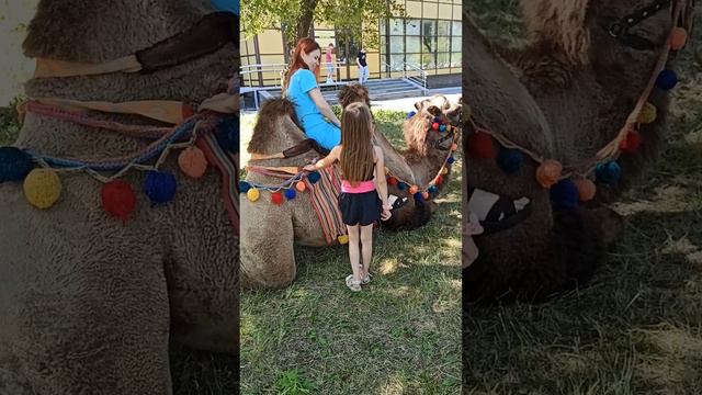 выходные удались