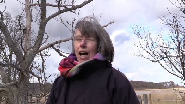 Discovering Doggerland смотреть онлайн