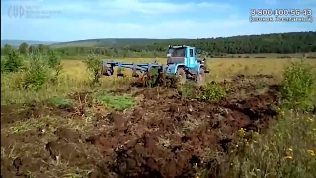 Плуг ПСКу по залежным землям валит сосны 2019/ ТД "Алтайсельмаш смотреть онлайн