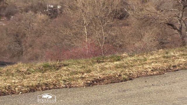 V CARTIER et M DELIOT Rallye Monte Carlo 2024 смотреть онлайн