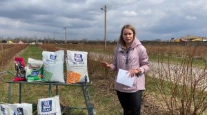 Весенняя подкормка голубики | Лаборатория и питомник из Беларуси "Ягодная долина"