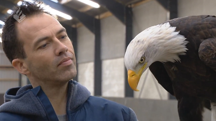 Орлы охотятся на дронов смотреть онлайн