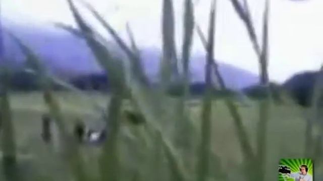 ▶ Военный показал всем секретное видео НЛО смотреть онлайн