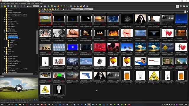 Faststone Image Viewer 2022 смотреть онлайн