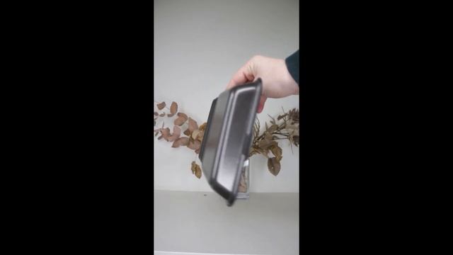 Ланч-бокс малый без деления с крышкой черный 194*146*78 мм (100шт/ящ) смотреть онлайн