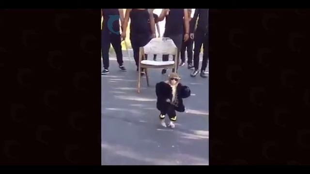 как блатной входит в хату на зоне смотреть онлайн