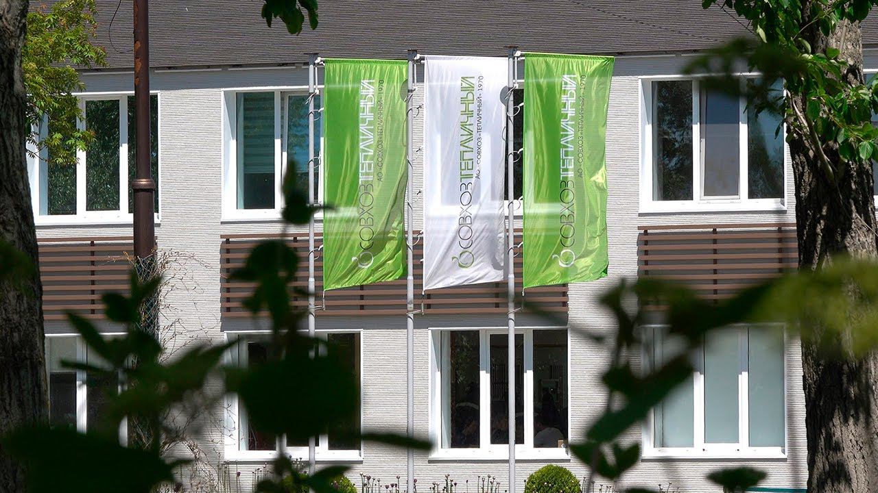 Совхоз "Тепличный": Крупнейший на Дальнем Востоке производитель овощей в защищённом грунте смотреть онлайн