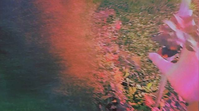 красота ? смотреть онлайн