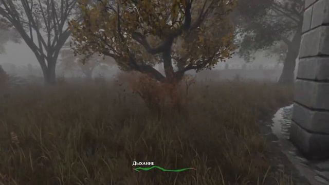 Проходим DLC Мраморное гнездо и немного лиги (Pathologic 2 + League of Legends ARAM) (09.08.23) смотреть онлайн