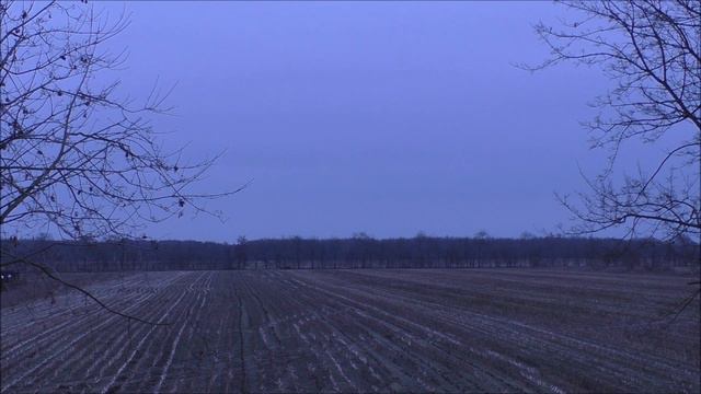 Естественные звуки природы 🌳🌲. Relax. Для души. Тишина👍 смотреть онлайн