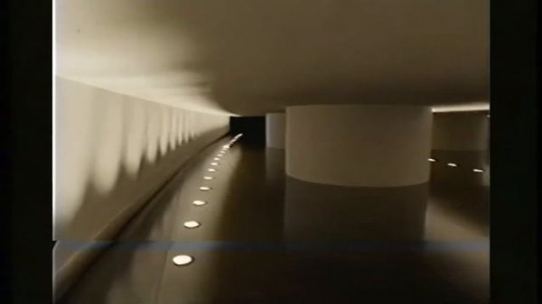 Backrooms Level 21 Numbered Doors
(the backrooms found footage)