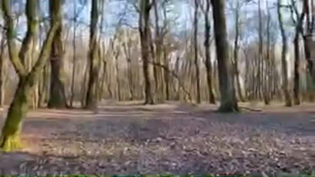 ПРо симптомы укуса клеща смотреть онлайн