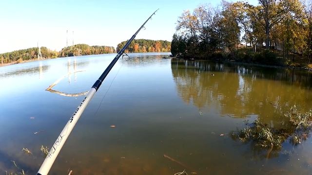 How To Catch Bluegills and Bass in Fall - Easy Fishing for Beginners смотреть онлайн