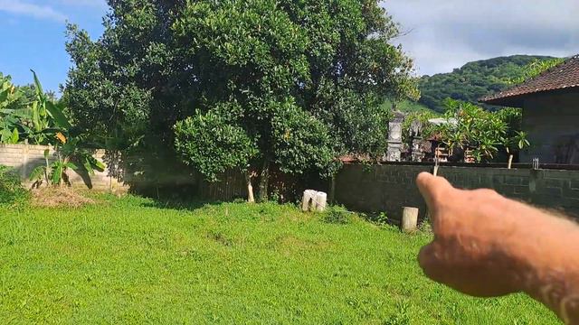 Земля в аренду на 23 года в Амед(Карангасем). смотреть онлайн