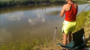 Рыбалка на реке Илек .Ловля на фидер Язь,Голавль,Подуст.Июль 2017.