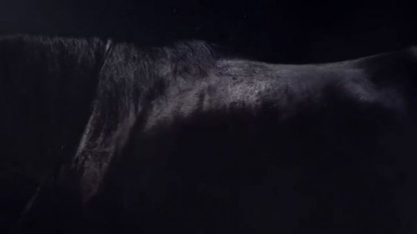 Enigma - Smell of Desire