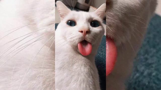 New aesthetics - music 2021 #минуса#быты#рэп#топ#beautiful melody смотреть онлайн